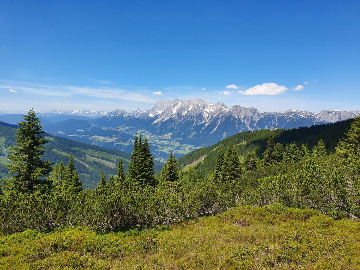 Appartement Am Hauser Kaibling Dış mekan fotoğraf