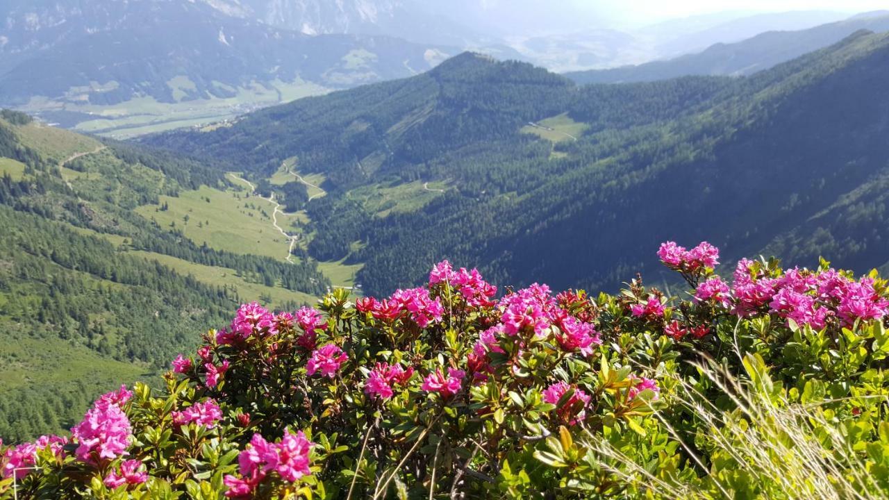 Appartement Am Hauser Kaibling Dış mekan fotoğraf