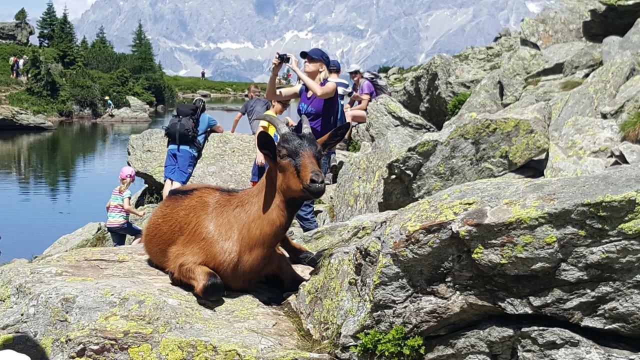 Appartement Am Hauser Kaibling Dış mekan fotoğraf